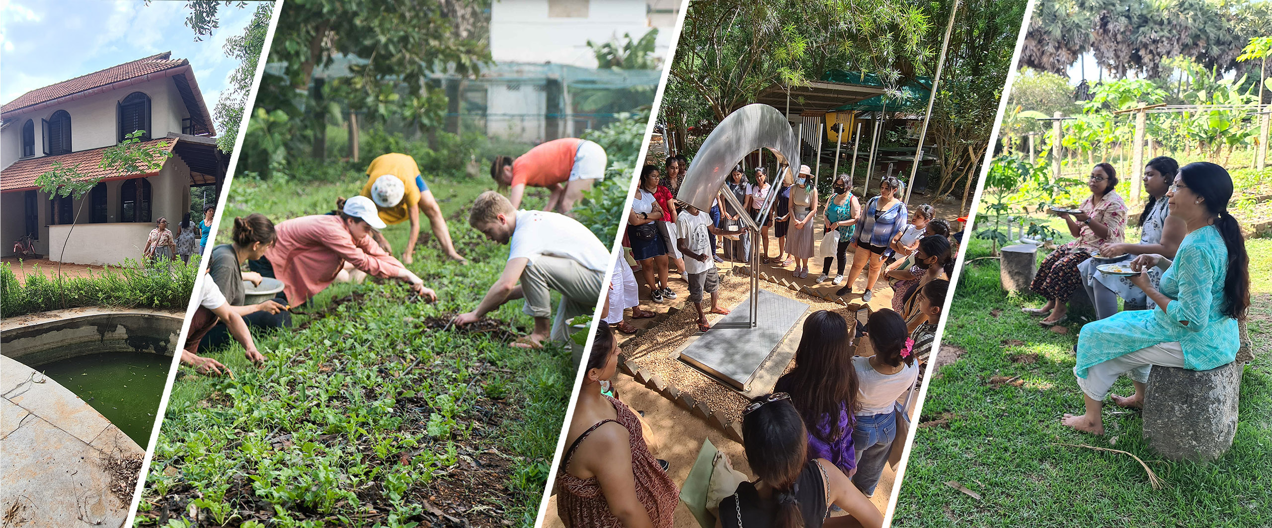 farming, sustainability