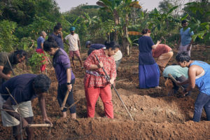 Understand the inextricable connection between organic food and our health. Additionally, learn about the importance of indigenous food in one’s health journey.