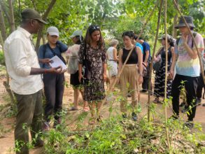 Martuvam Healing Forest | Auroville Green Practices Martuvam Healing Forest