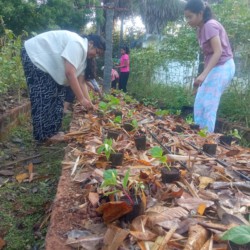 Pearl Academy Pearl Academy