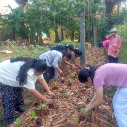 Pearl Academy Pearl Academy