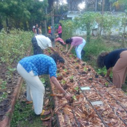 Pearl Academy Pearl Academy