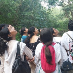 Woxven University Woxven University