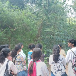 Woxven University Woxven University