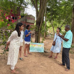 A Family’s Day in Auroville A Family’s Day in Auroville