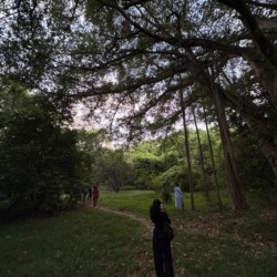 A Family’s Day in Auroville A Family’s Day in Auroville