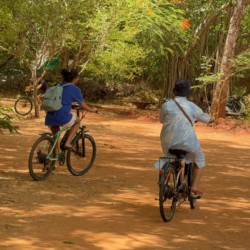A Family’s Day in Auroville A Family’s Day in Auroville